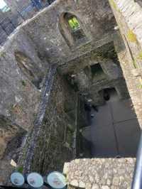A Kiss of Legend: Wandering Through Blarney Castle & Gardens