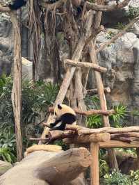 生日的海洋公園