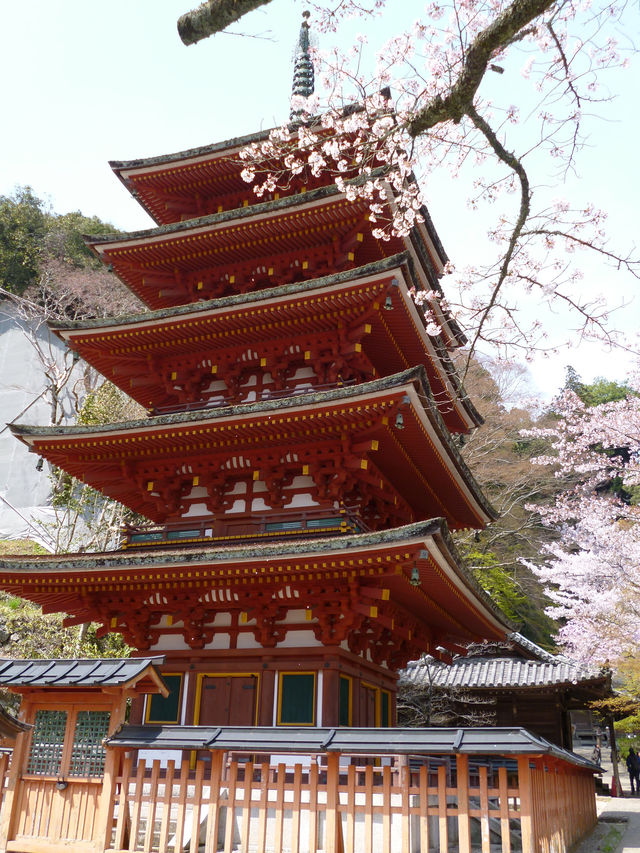 花の御寺 総本山 長谷寺 