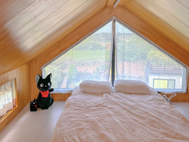 지브리 감성 가득한 제주 독채숙소 "스테이 오늘"🌼