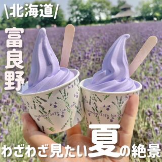 Classic Summer Tourist Spot: Farm Tomita in Furano, Hokkaido