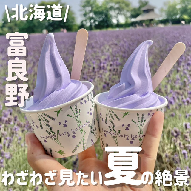夏に行きたい‼️王道観光スポット