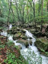 Wandering Wolaksan