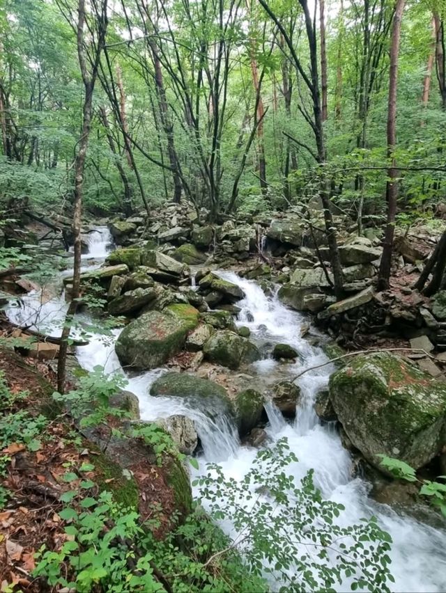 Wandering Wolaksan