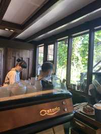Early Owls เชียงใหม่ คาเฟ่สายชิล ใจกลางสวน