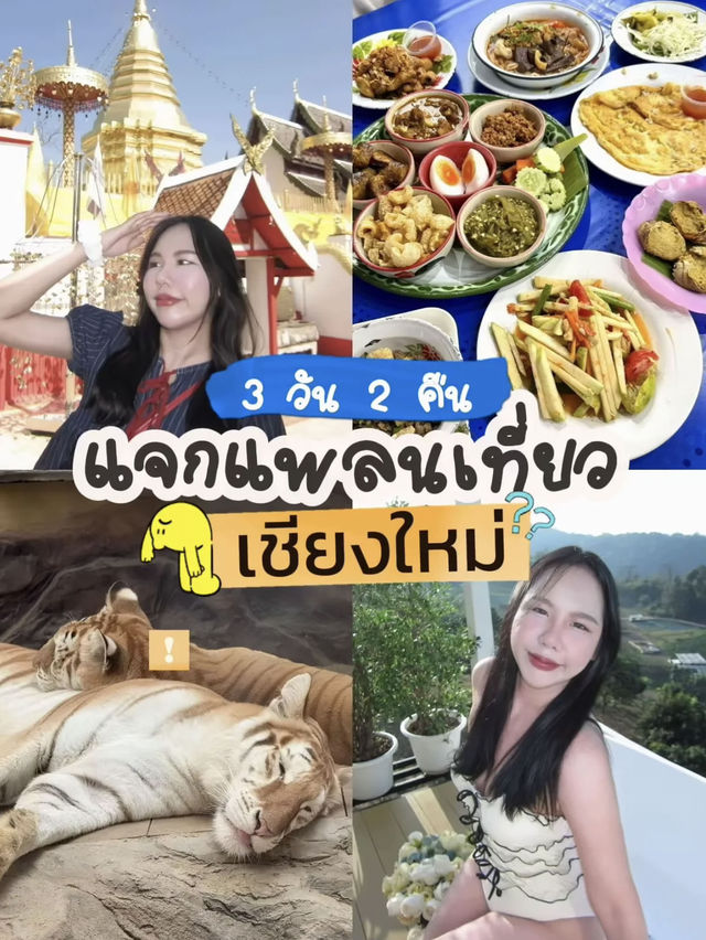 เที่ยวเชียงใหม่ 3 วัน 2 คืน!🛫 ไปไหนดี?👀