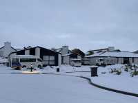 Snowy dreamland 