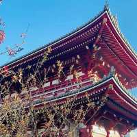 Tradition and Timelessness: A Spiritual Stroll Through Sensoji Temple 🇯🇵