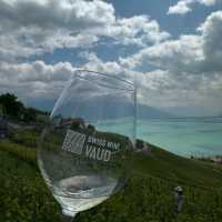 Lavaux Vineyards in Summer: A Sun-Drenched Paradise of Wine & Wanderlust