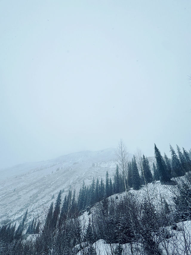 Frozen Dreams: A Winter Escape to Lake Kaindy