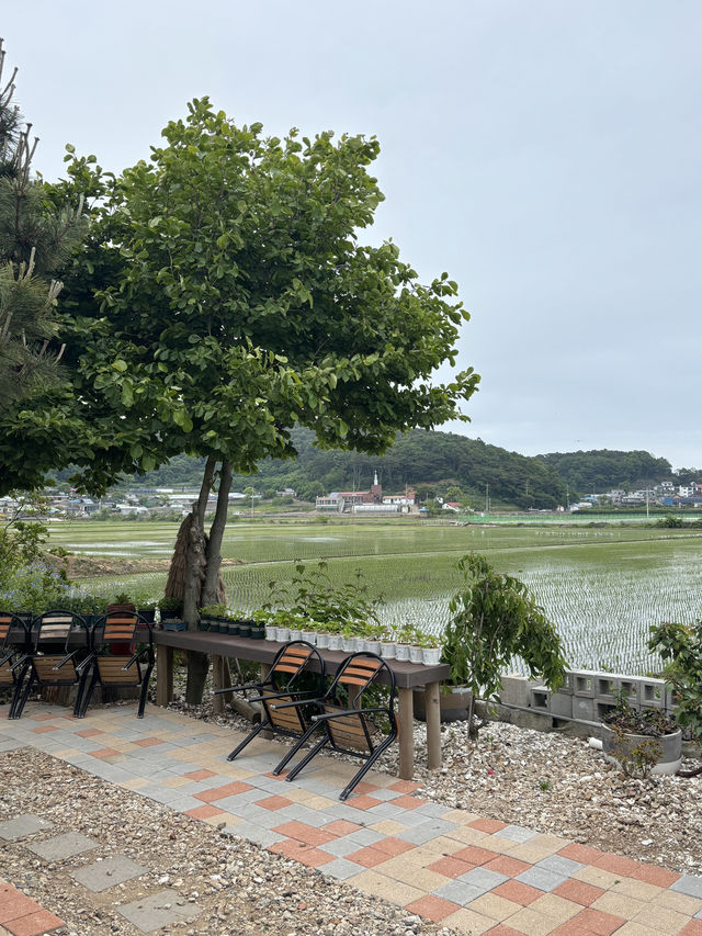 분위기가 아늑해서 나만 알고 싶은 장봉도 카페🏝️