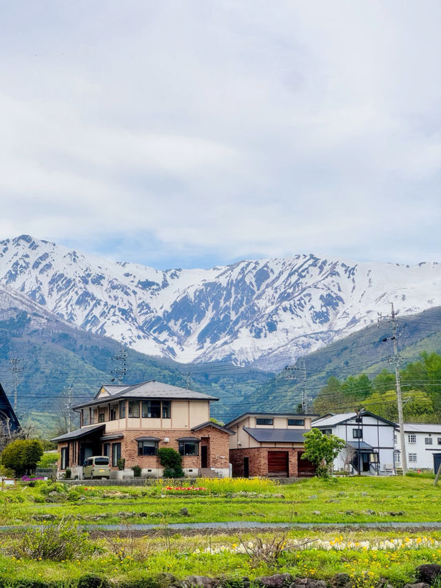 วิวจาก Snow Peak Hakuba