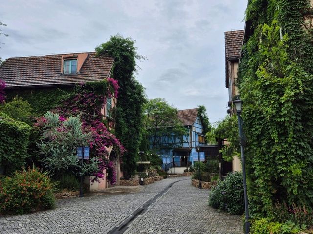 A Hidden Gem in Chengdu: The Sino-French Town 🇫🇷🏛️