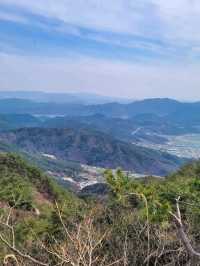 Misungsan Forest Feels