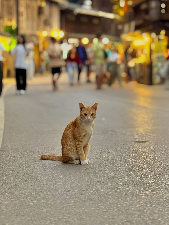 แม่กำปอง หมู่บ้านเล็กๆที่ดีต่อใจ 🏠🧡