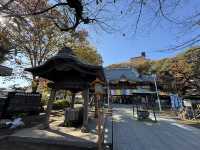 Healing Stones & Flea Market Vibes: Discover Kawagoe’s Renkeiji Temple