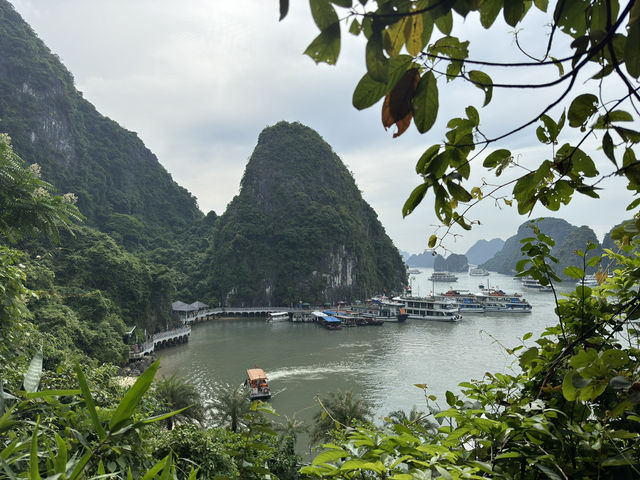 🌊 Ha Long in a Day – Phong Hai 80 Cruise Delivers Big on Views and Vibes