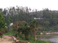 Anna Park Yercaud