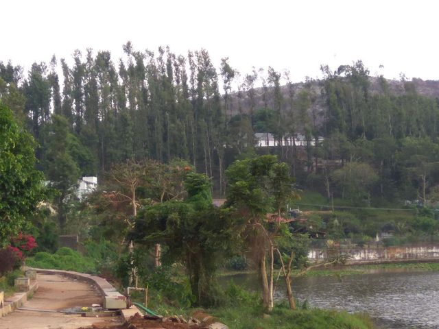 Anna Park Yercaud
