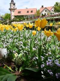 アルプスの少女の世界へ！ハイジの村で花と癒しの休日🌼