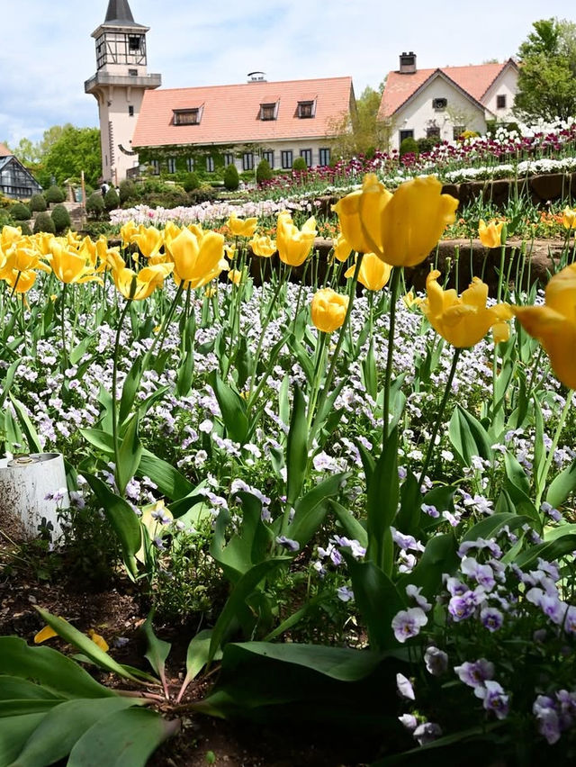 アルプスの少女の世界へ！ハイジの村で花と癒しの休日🌼