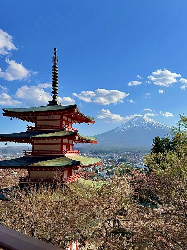 โอซาก้า🇯🇵