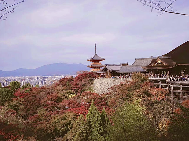 เที่ยวโอซาก้ากันเถอะ🇯🇵