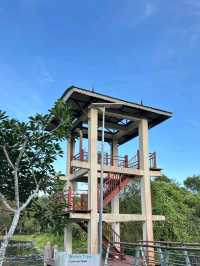 Urban Escape: The Calm of Taman Tasik Cyberjaya
