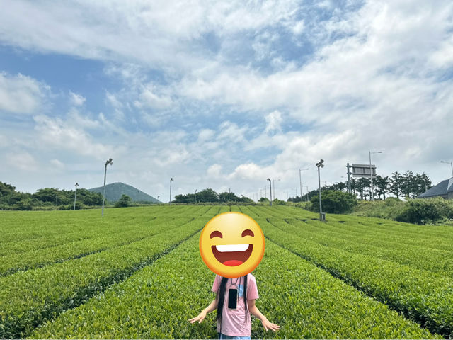 🏨😌 포도호텔 2박 3일 온캉스 2박 3일