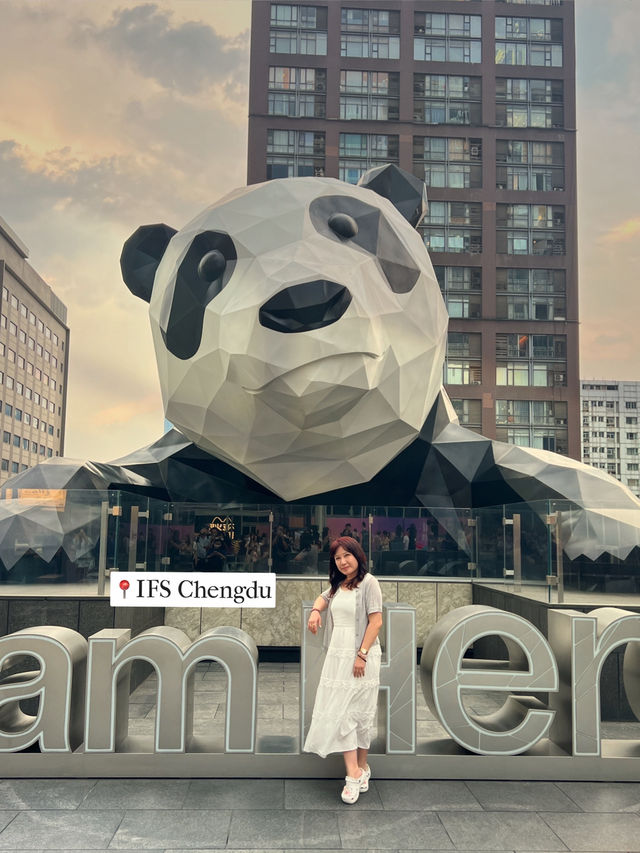 𝐏𝐚𝐧𝐝𝐚 𝐢𝐧 𝐭𝐡𝐞 𝐂𝐢𝐭𝐲🐼❤️