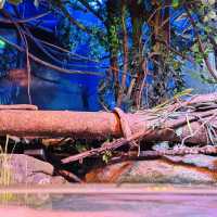 SEALIFE Busan Aquarium: An Immersive Underwater Adventure