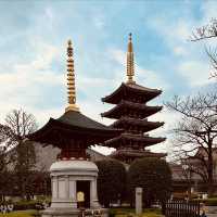 SensojiSummer: Tokyo’s Coolest Temple Adventure Awaits! ⛩️✨