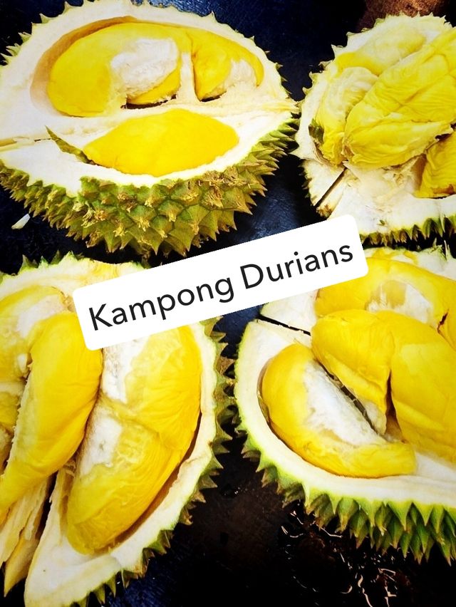  Half a day of feasting and fun in JB!