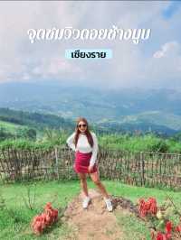 จุดชมวิวดอยช้างมูบ เชียงราย