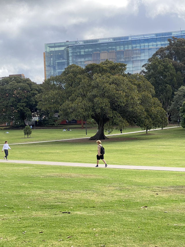 호주 가볼만한 곳 추천 🇦🇺❤️
