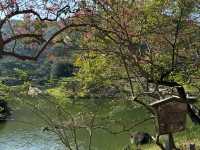 四國香川-栗林公園