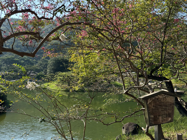 四國香川-栗林公園