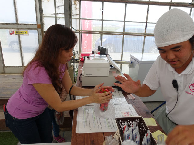 🍓 Berry Fun at Chura Ichigo Itoman House – Strawberry Picking in Okinawa!