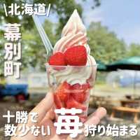 十勝✨️珍しい十勝の いちご狩り