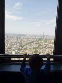 Paris from the Clouds: Montparnasse Magic