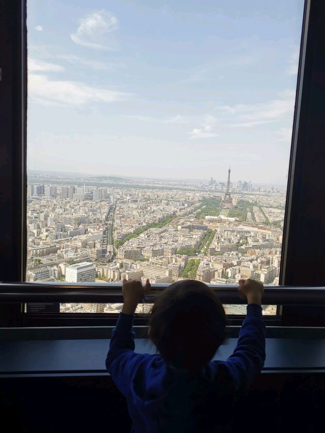 Paris from the Clouds: Montparnasse Magic