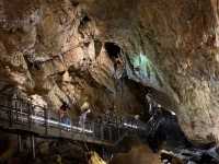 Summer Escape Near Geneva: Cave Exploration + Zoo! 🇨🇭🦇