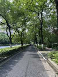 Summer Hangzhou in green