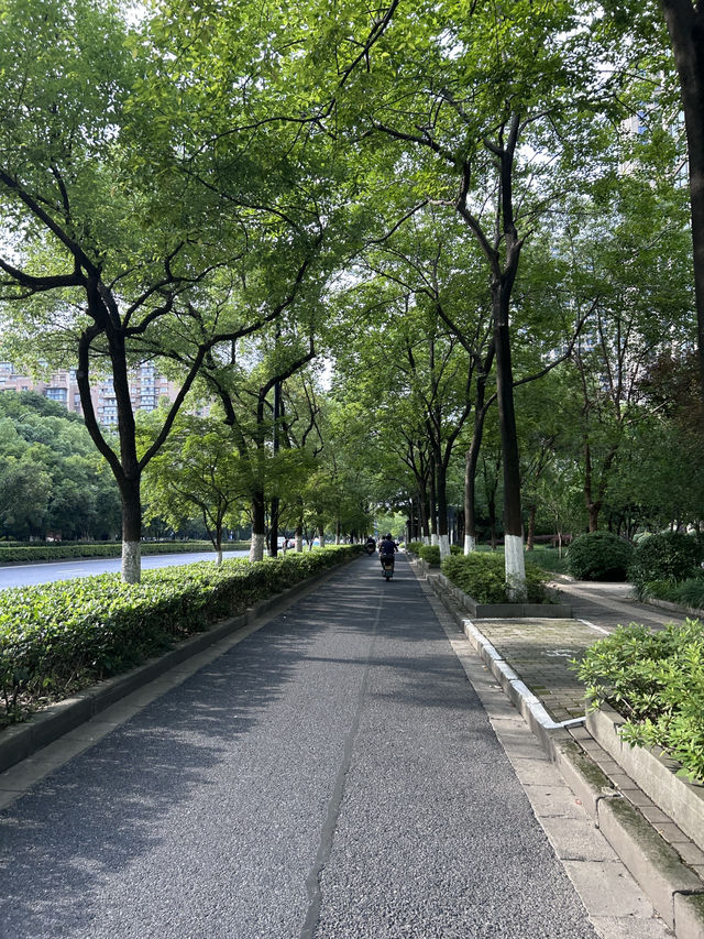 Summer Hangzhou in green