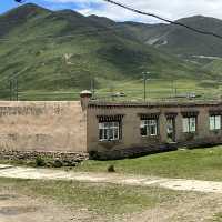 🐟 Litang Highland Fish Restaurant – A Cozy Pit Stop in the Sky