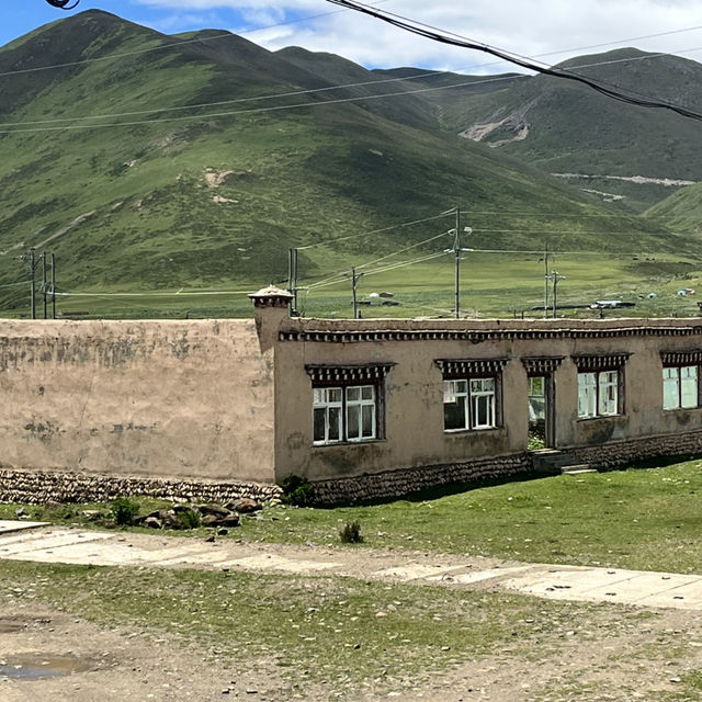 🐟 Litang Highland Fish Restaurant – A Cozy Pit Stop in the Sky