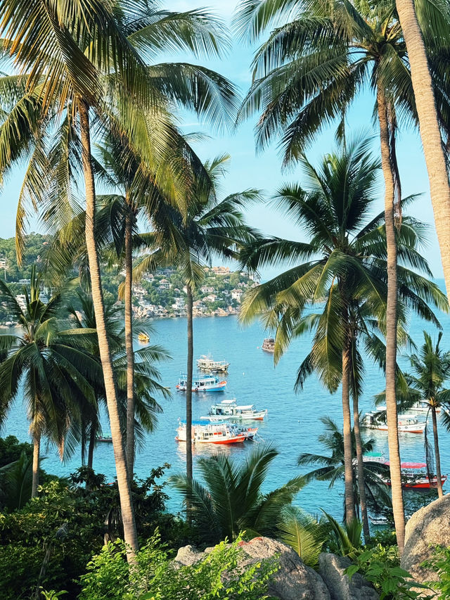 สวรรค์ที่เกาะเต่า สวยมากกก 🏝️✨🧚🏻‍♀️