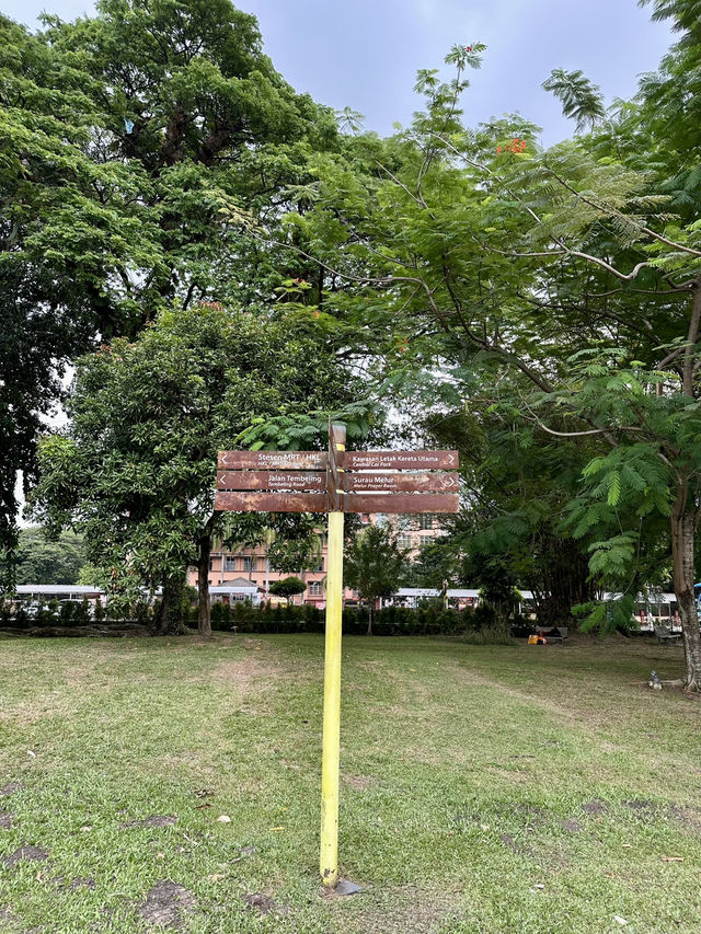 Reflections in Motion: A Summer Morning at Taman Tasik Titiwangsa