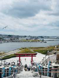 Kabushima Shrine: Where 30,000 Wild Gulls Become Sacred Messengers