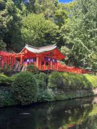 東京 根津神社 ⛩️🌿